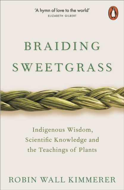 braiding sweetgrass book