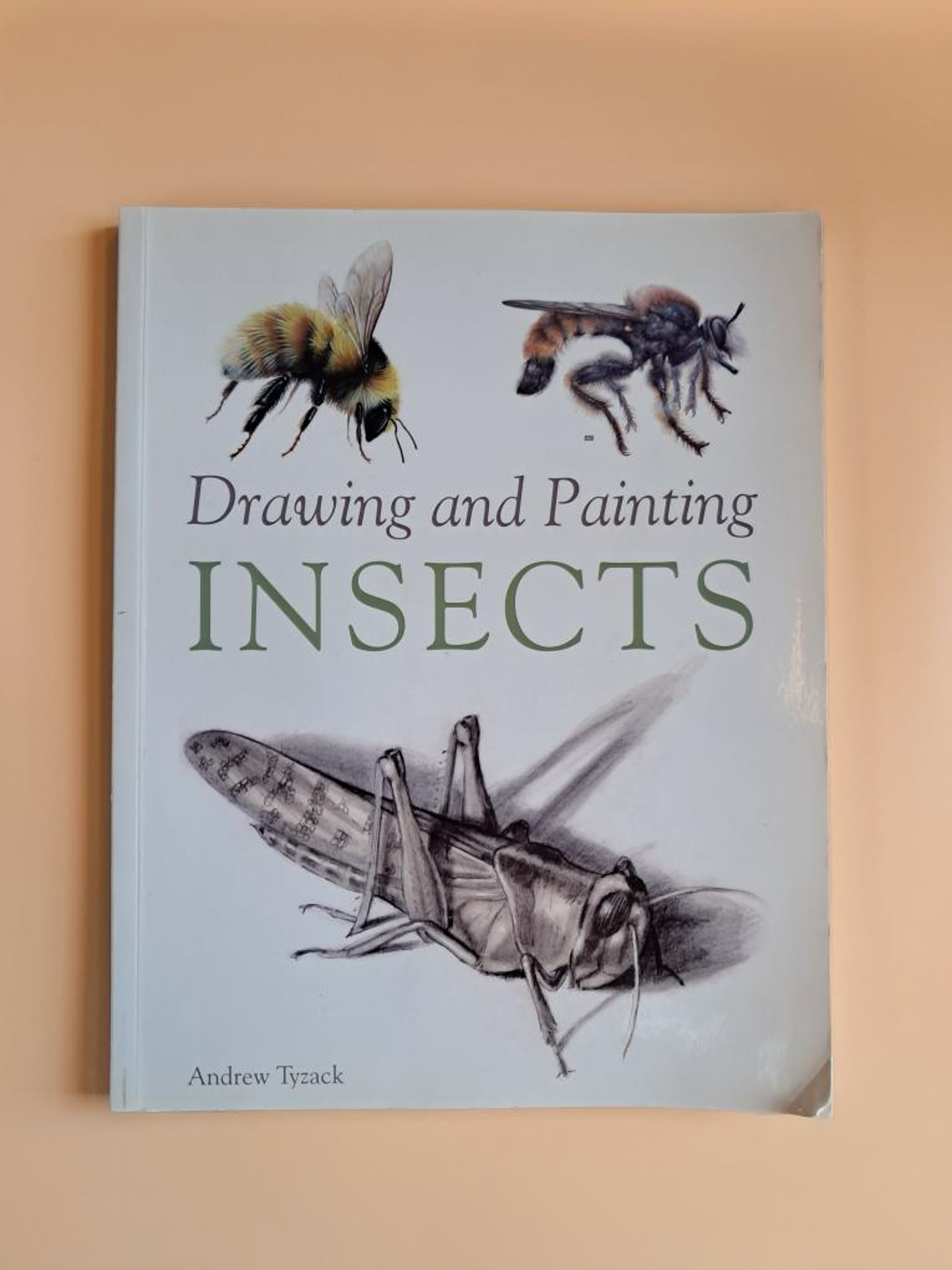 Drawing and Painting insects