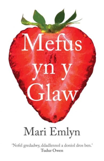 mefus yn y glaw book