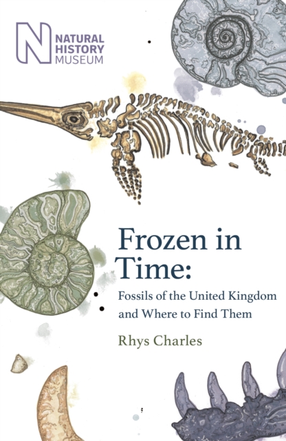 Frozen in time. White cover with coloured drawings of various fossils