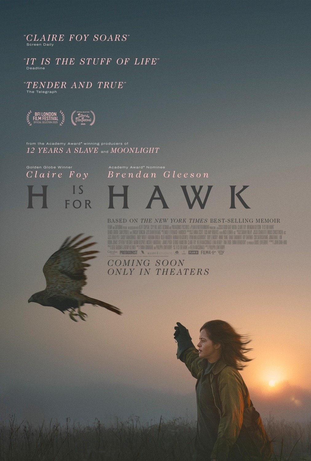 The poster for the film "H is for Hawk", depicting the main character, played by Claire Foy, launching a hawk from her arm. In the background, the sun is in its twilight setting. The poster suggests a sombre mood, reflecting the theme of the story.